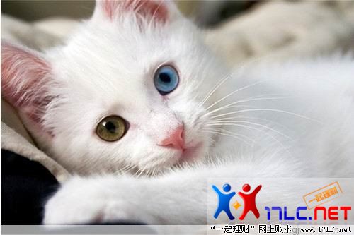 http://photo.xiaonei.com/getphoto.do?id=636866613&owner=242878440&pos=35