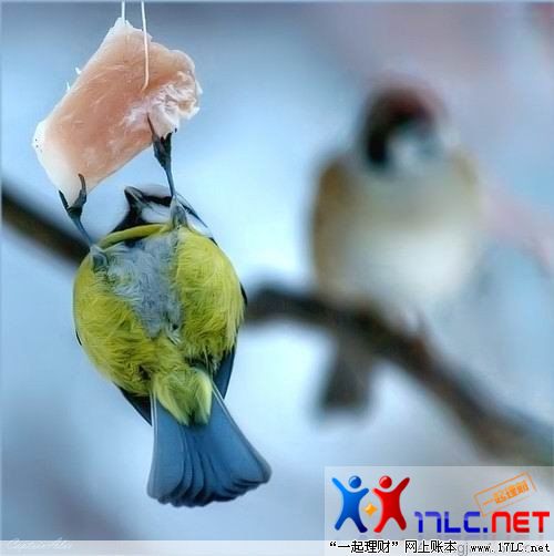 http://photo.xiaonei.com/getphoto.do?id=636832867&owner=242878440&pos=26