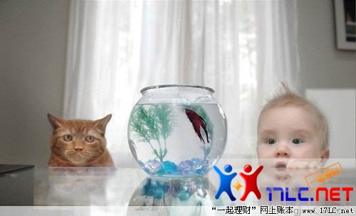 http://photo.xiaonei.com/getphoto.do?id=636832864&owner=242878440&pos=23