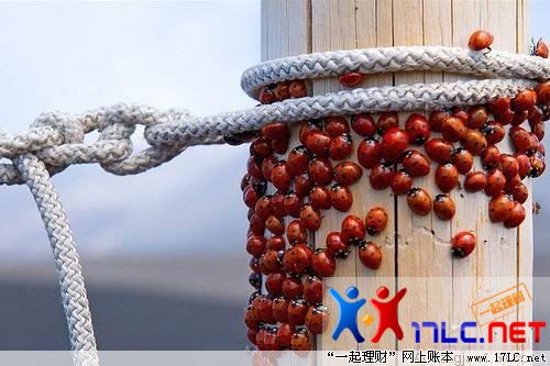 http://photo.xiaonei.com/getphoto.do?id=636809847&owner=242878440&pos=21