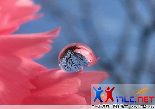 http://photo.xiaonei.com/getphoto.do?id=636910981&owner=242878440&pos=47