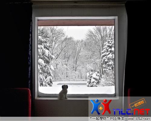 http://photo.xiaonei.com/getphoto.do?id=636785902&owner=242878440&pos=9