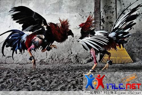 http://photo.xiaonei.com/getphoto.do?id=636773161&owner=242878440&pos=5