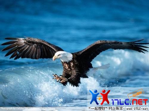 http://photo.xiaonei.com/getphoto.do?id=636763268&owner=242878440&pos=3