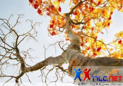 http://photo.xiaonei.com/getphoto.do?id=636888721&owner=242878440&pos=45