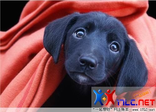 http://photo.xiaonei.com/getphoto.do?id=636888720&owner=242878440&pos=44